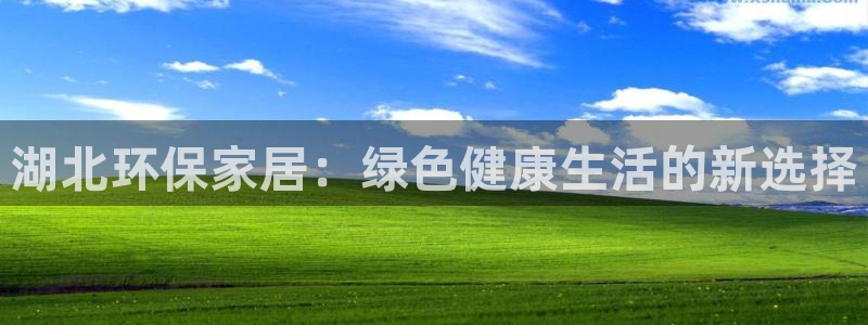 杏耀注册登录平台：湖北环保家居：绿色健康生活的新选择